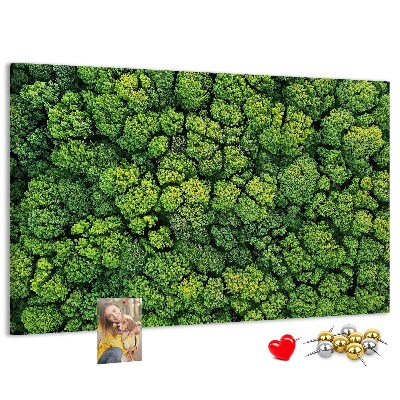 Panou de pluta O pădure verde cu vegetație densă