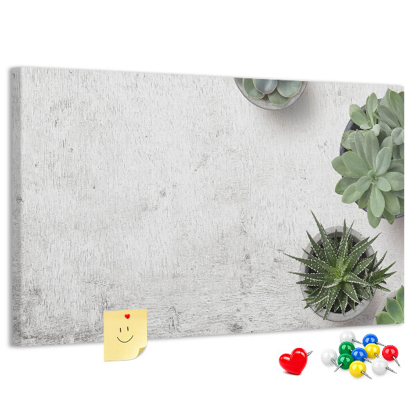 Panou din pluta Plante în ghiveci pe un fundal gri