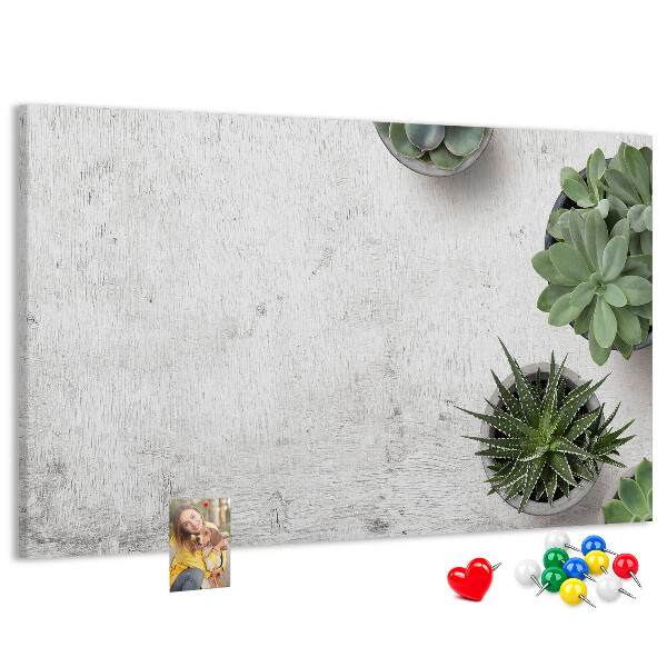 Panou din pluta Plante în ghiveci pe un fundal gri