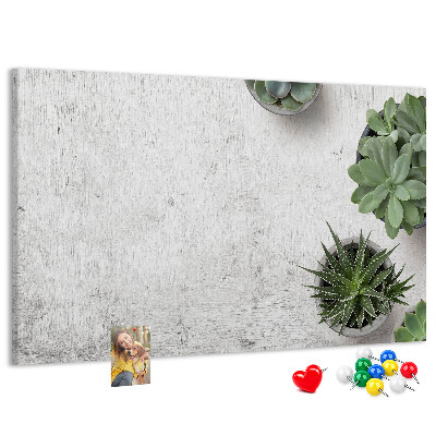 Panou din pluta Plante în ghiveci pe un fundal gri