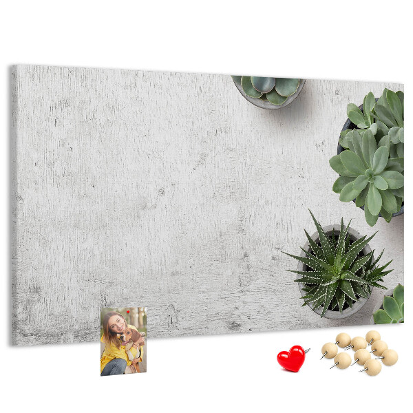 Panou din pluta Plante în ghiveci pe un fundal gri