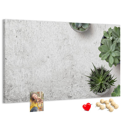 Panou din pluta Plante în ghiveci pe un fundal gri