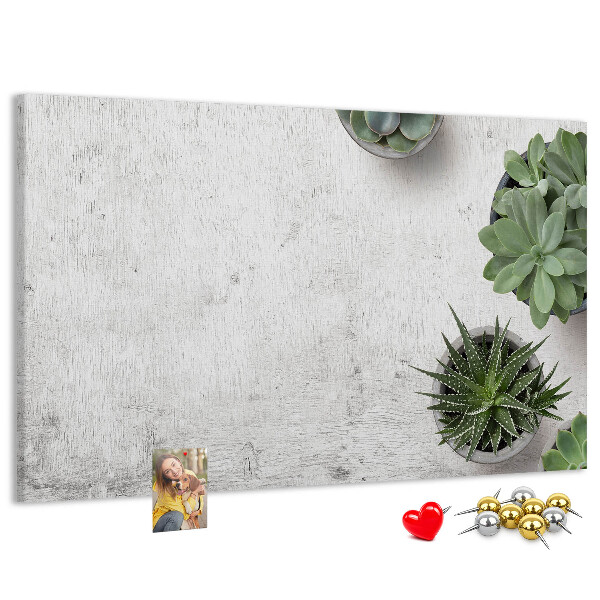 Panou din pluta Plante în ghiveci pe un fundal gri