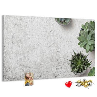 Panou din pluta Plante în ghiveci pe un fundal gri