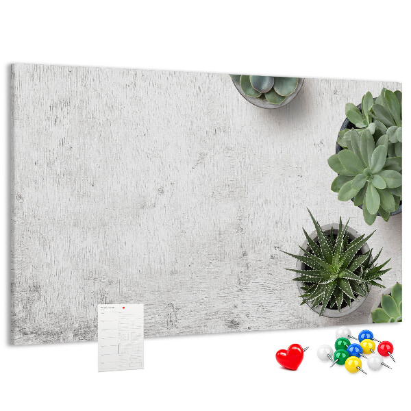 Panou din pluta Plante în ghiveci pe un fundal gri