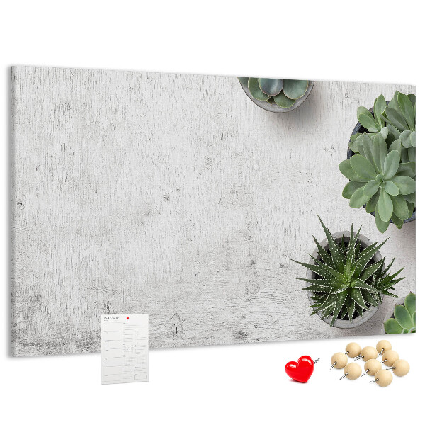 Panou din pluta Plante în ghiveci pe un fundal gri
