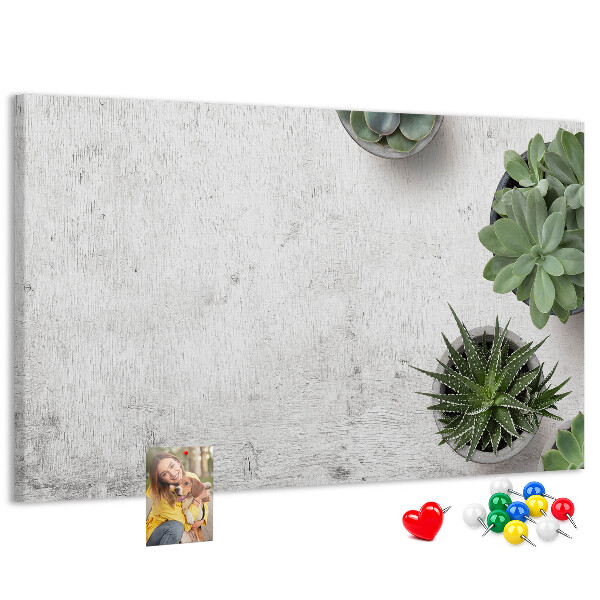 Panou din pluta Plante în ghiveci pe un fundal gri