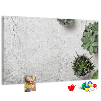 Panou din pluta Plante în ghiveci pe un fundal gri