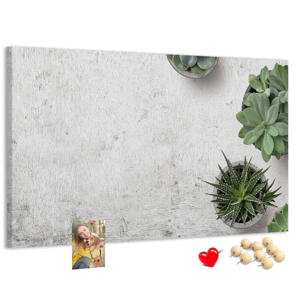Panou din pluta Plante în ghiveci pe un fundal gri