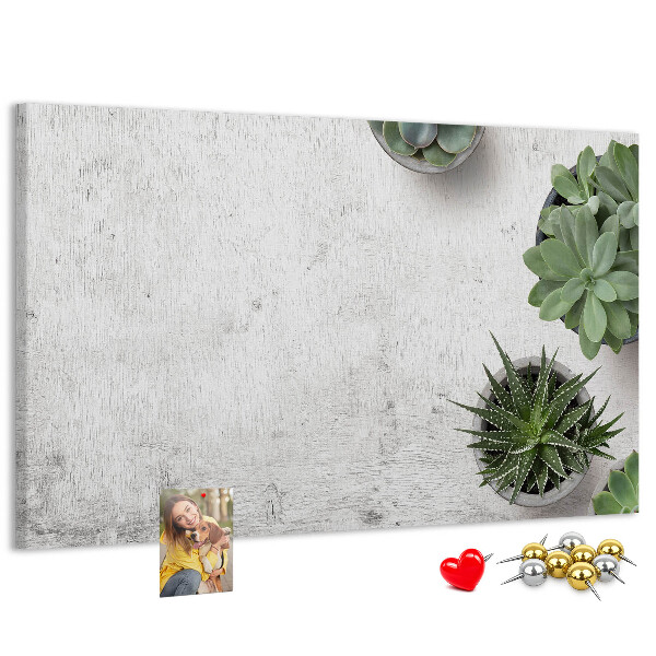 Panou din pluta Plante în ghiveci pe un fundal gri