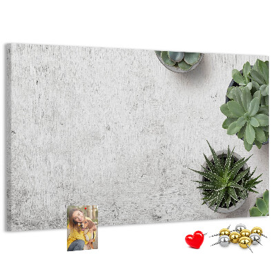 Panou din pluta Plante în ghiveci pe un fundal gri
