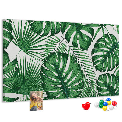 Panou de pluta Numeroase frunze de plante tropicale în verde