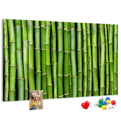 Panou de pluta Tulpini verzi de bambus în aranjamentul lor natural