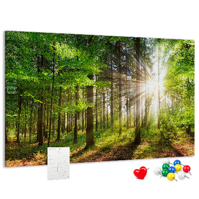Panou din pluta Razele soarelui în pădurea verde