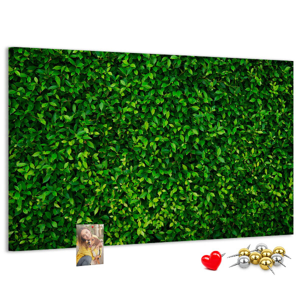 Panou din pluta Perete cu model de plantă cu frunze verzi
