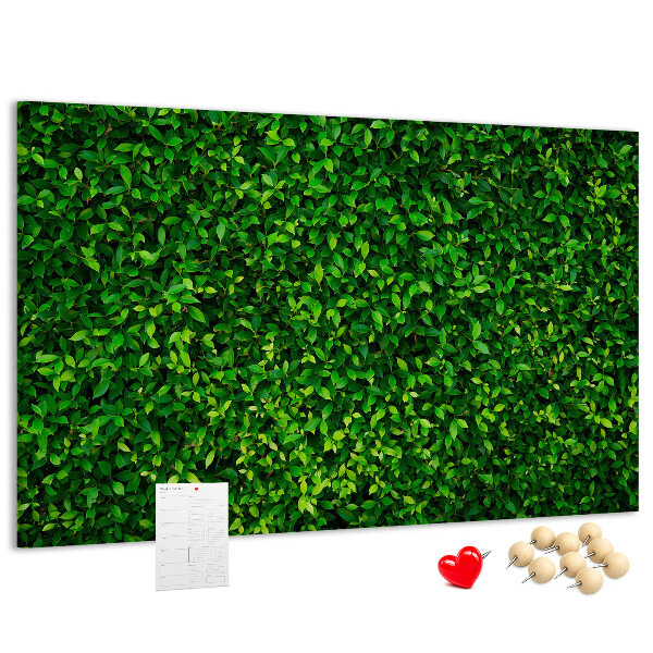 Panou din pluta Perete cu model de plantă cu frunze verzi
