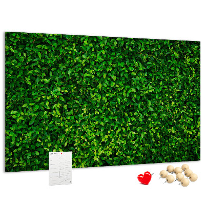Panou din pluta Perete cu model de plantă cu frunze verzi