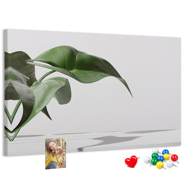 Panou de pluta Frunze delicate pe un fundal minimalist