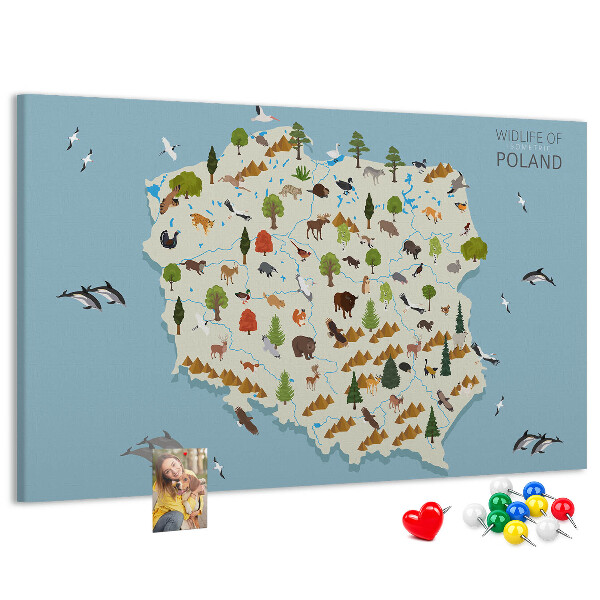 Panou de pluta Fauna poloneză pe o hartă colorată
