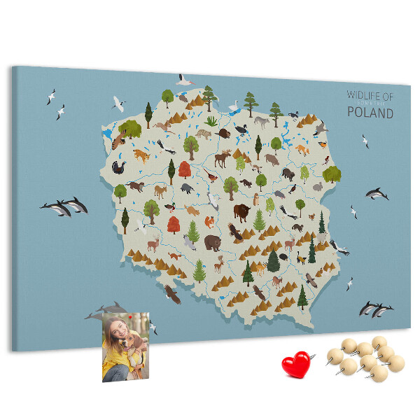 Panou de pluta Fauna poloneză pe o hartă colorată