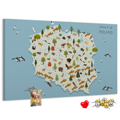 Panou de pluta Fauna poloneză pe o hartă colorată