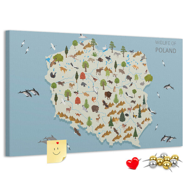 Panou de pluta Fauna poloneză pe o hartă colorată
