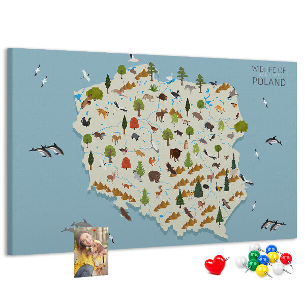Panou de pluta Fauna poloneză pe o hartă colorată
