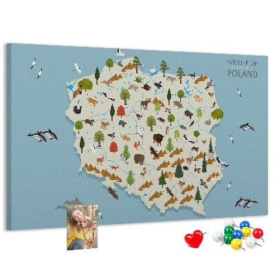 Panou de pluta Fauna poloneză pe o hartă colorată