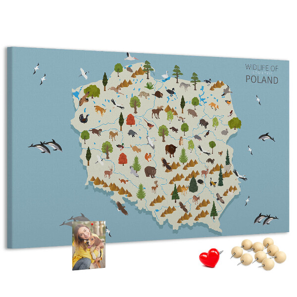 Panou de pluta Fauna poloneză pe o hartă colorată