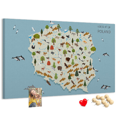 Panou de pluta Fauna poloneză pe o hartă colorată