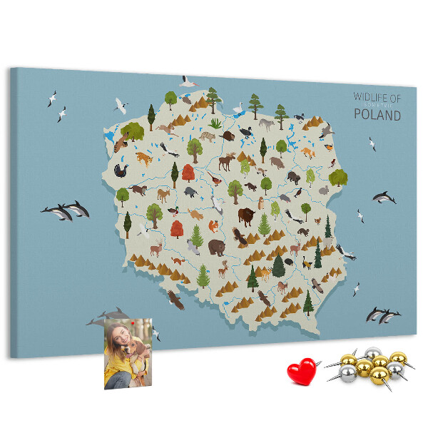 Panou de pluta Fauna poloneză pe o hartă colorată
