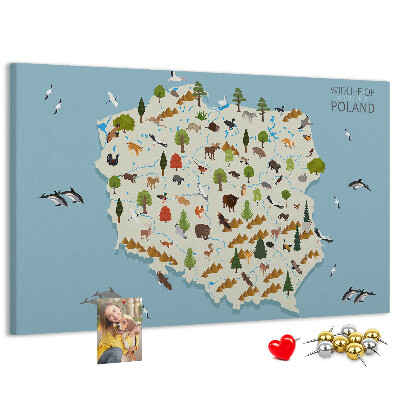 Panou de pluta Fauna poloneză pe o hartă colorată
