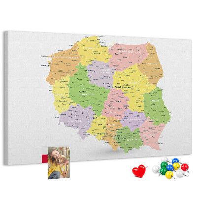 Panou de pluta Harta Poloniei cu diviziune administrativă.