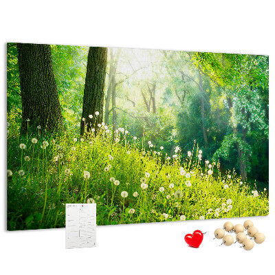 Panou din pluta Pădure verde cu păpădii înflorite
