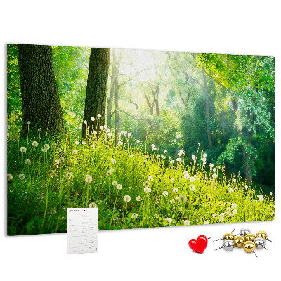 Panou din pluta Pădure verde cu păpădii înflorite