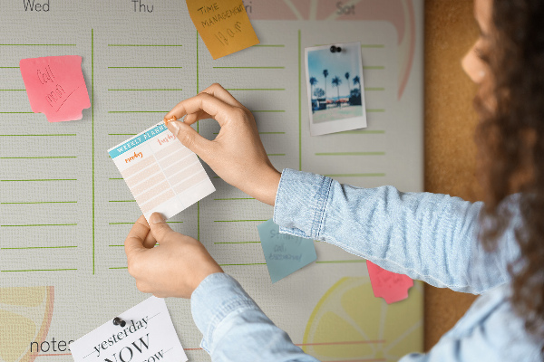 Panou din pluta Agenda de familie cu model citric.