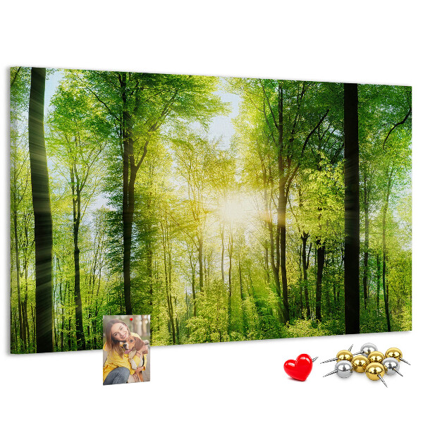 Panou de pluta Pădure verde cu raze de soare