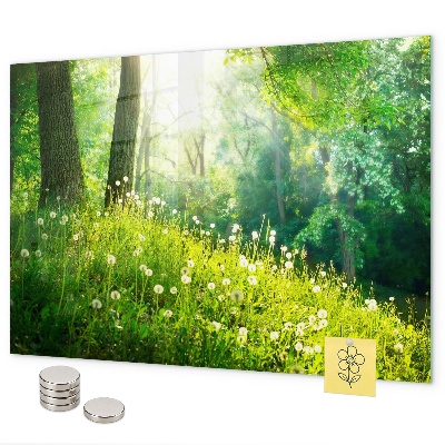 Tablă magnetică perete Natura de primăvară