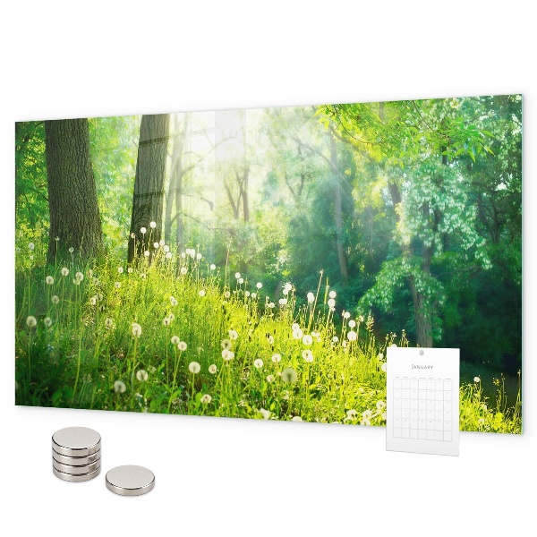 Tablă magnetică perete Natura de primăvară