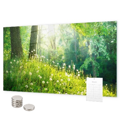 Tablă magnetică perete Natura de primăvară