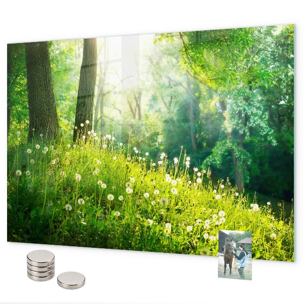 Tablă magnetică perete Natura de primăvară