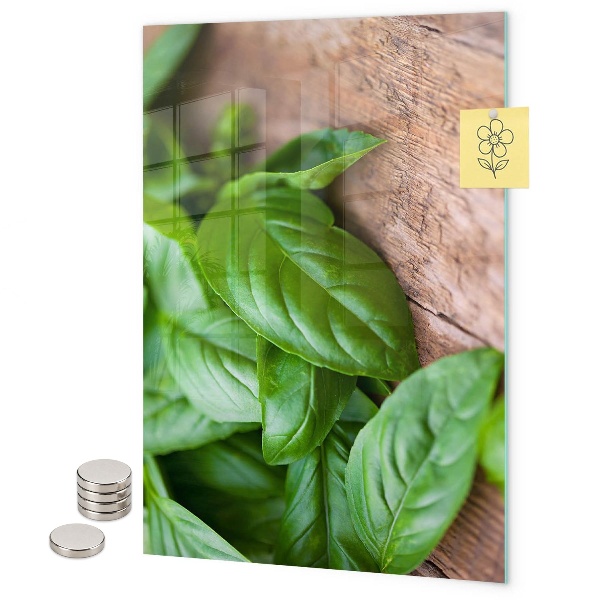 Tablă magnetică sticla Busuioc