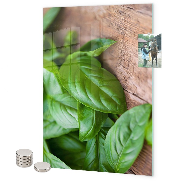Tablă magnetică sticla Busuioc