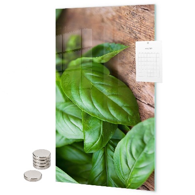 Tablă magnetică sticla Busuioc
