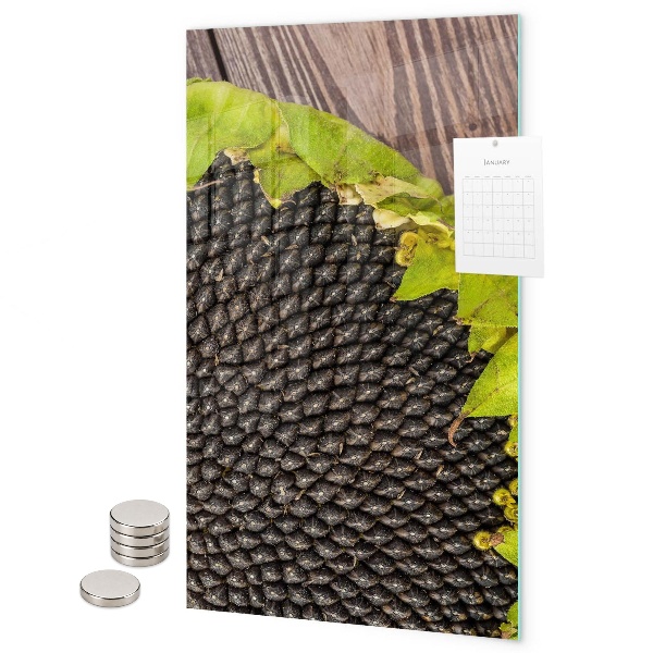 Tablă magnetică pentru magneti Semințe de floarea-soarelui
