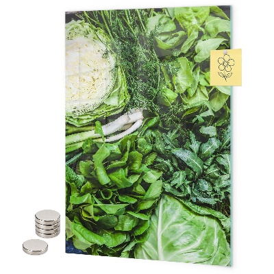 Tablă magnetică pentru magneti Salată verde suculentă