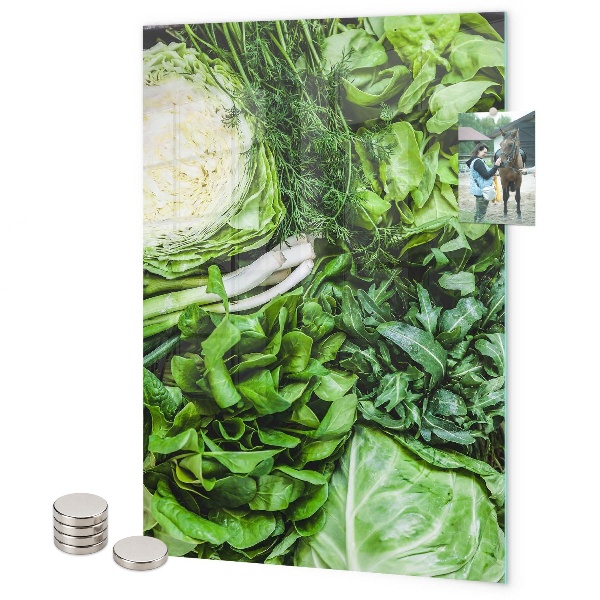 Tablă magnetică pentru magneti Salată verde suculentă