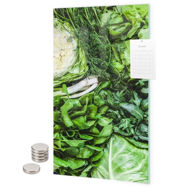 Tablă magnetică pentru magneti Salată verde suculentă