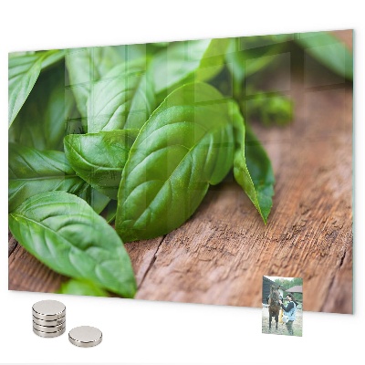 Tablă magnetică frunze de busuioc