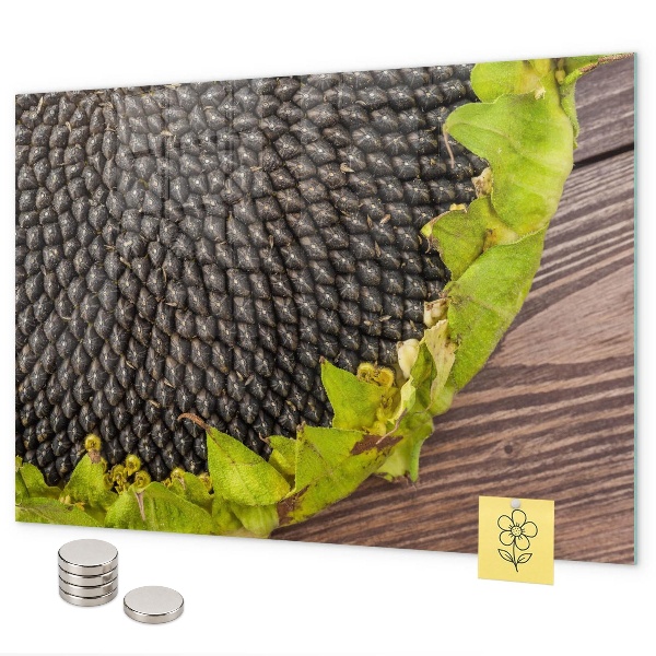Tablă magnetică perete Floarea-soarelui